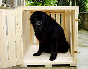空輸用ケージ（犬用）